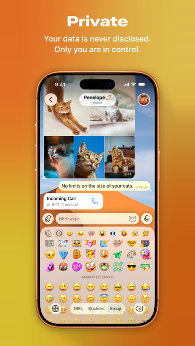 Captura 3 de Telegram Messenger