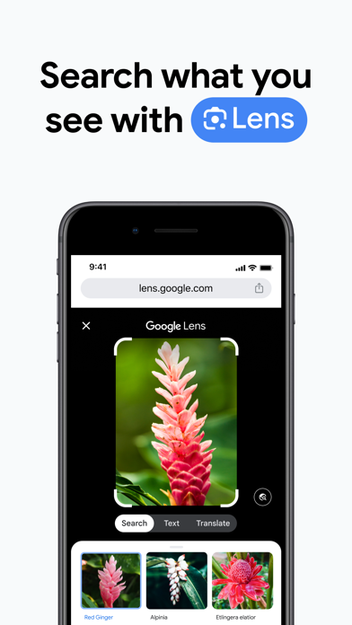 Captura 2 de Google Chrome